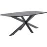 Eettafel Walden zwart eikenhout 220x110 cm Deens ovaal