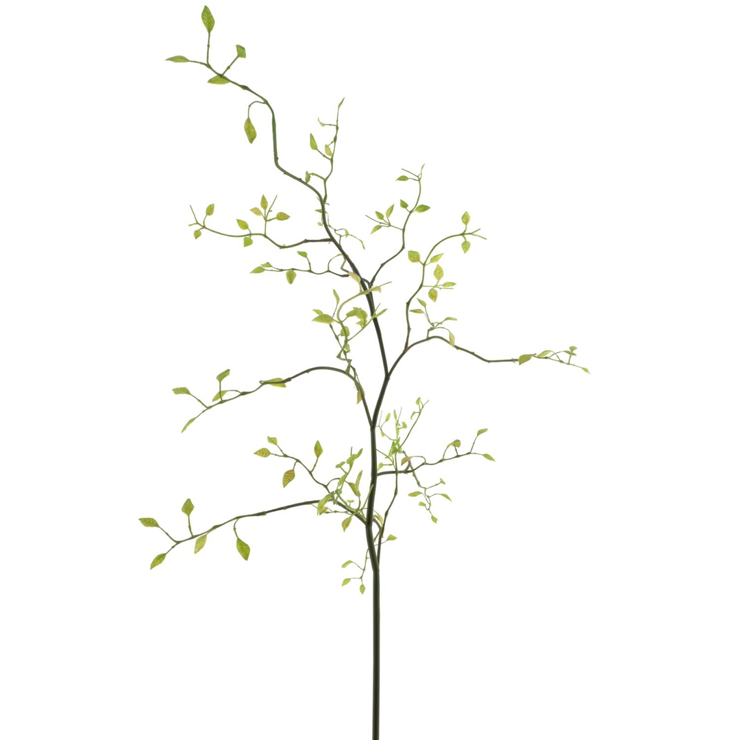 Kunstbloem Dorzano kamperfolie 96 cm groen