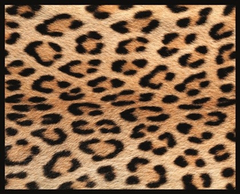 Wanddecoratie PMMO 27