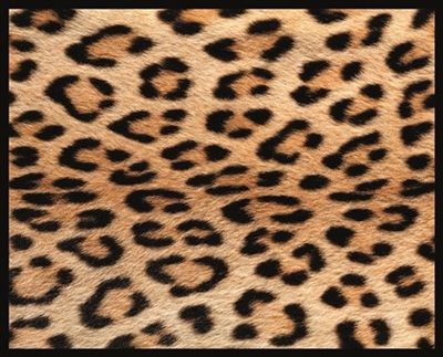 Wanddecoratie PMMO 27