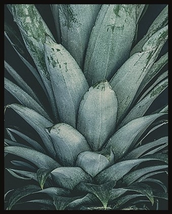 Wanddecoratie PMMO 27