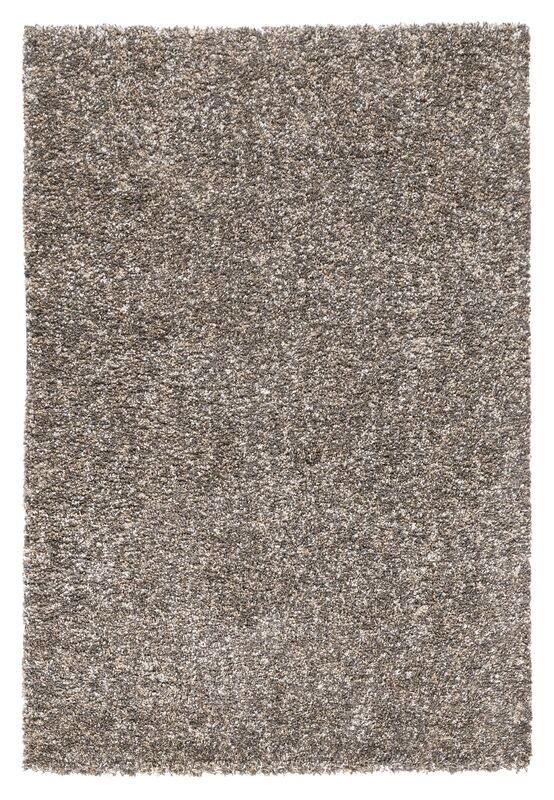 Karpet EMS