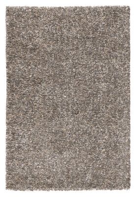 Karpet EMS