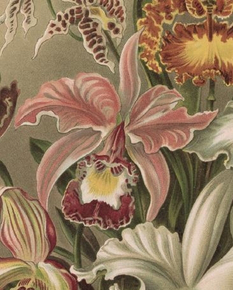 Wanddecoratie PMMO 33