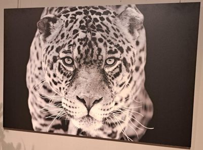PMMO Jaguar wanddecoratie